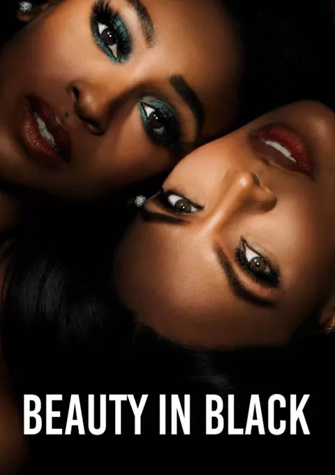 黑色丽人 第一季